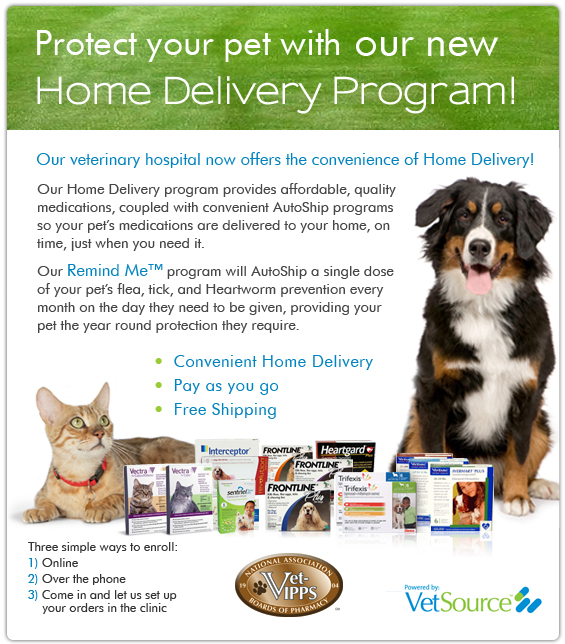 online home delivery banner