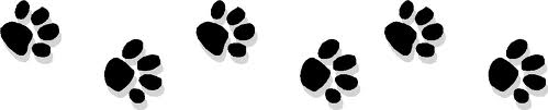 paw prints