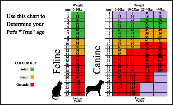 Pet Age Chart